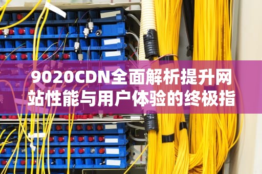 9020CDN全面解析提升网站性能与用户体验的终极指南