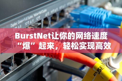 BurstNet让你的网络速度“爆”起来，轻松实现高效传输！