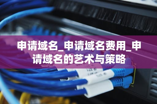 申请域名_申请域名费用_申请域名的艺术与策略