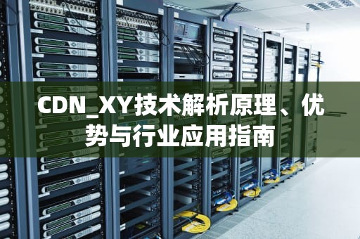 CDN_XY技术解析原理、优势与行业应用指南
