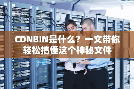 CDNBIN是什么？一文带你轻松搞懂这个神秘文件