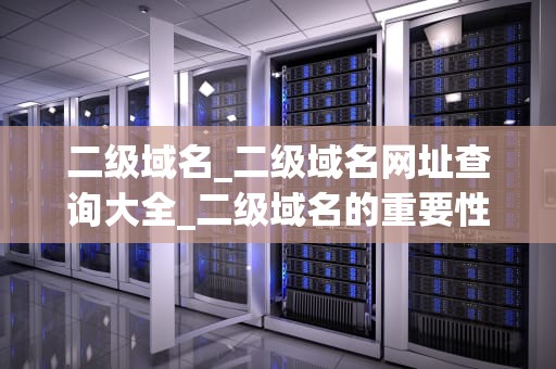二级域名_二级域名网址查询大全_二级域名的重要性及其在网络营销中的应用