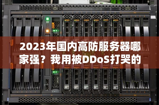 2023年国内高防服务器哪家强？我用被DDoS打哭的经历告诉你TOP5真相