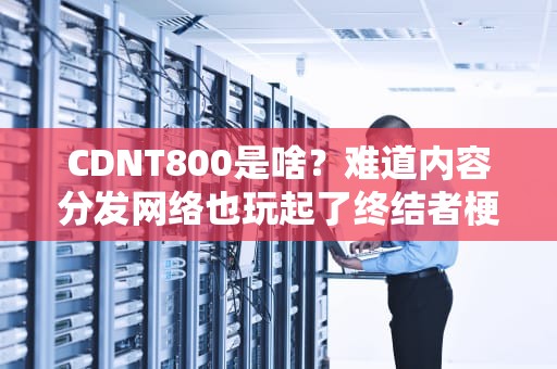 CDNT800是啥？难道内容分发网络也玩起了终结者梗？