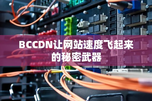BCCDN让网站速度飞起来的秘密武器