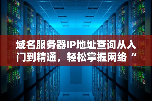 域名服务器IP地址查询从入门到精通，轻松掌握网络“门牌号”