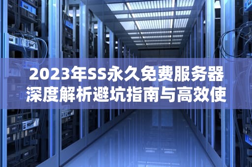 2023年SS永久免费服务器深度解析避坑指南与高效使用方案