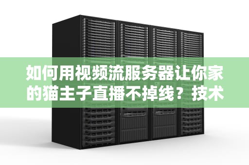 如何用视频流服务器让你家的猫主子直播不掉线？技术宅的自我修养