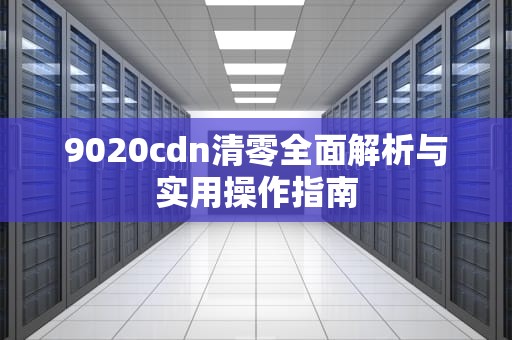 9020cdn清零全面解析与实用操作指南