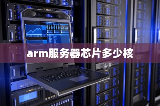 arm服务器芯片多少核