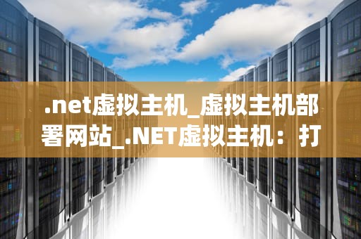 .net虚拟主机_虚拟主机部署网站_.NET虚拟主机：打造高效、稳定的网站运行环境