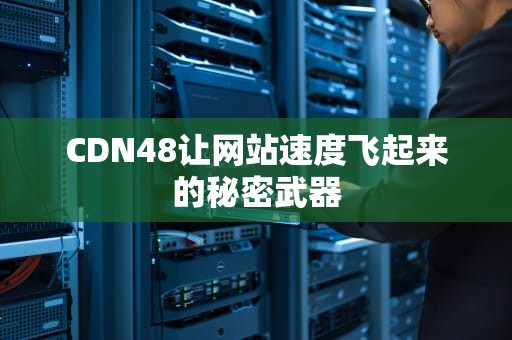 CDN48让网站速度飞起来的秘密武器