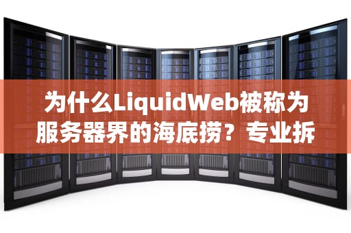 为什么LiquidWeb被称为服务器界的海底捞？专业拆解+搞笑比喻让你秒懂！