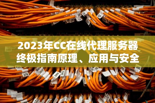 2023年CC在线代理服务器终极指南原理、应用与安全实践