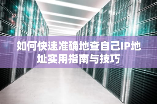 如何快速准确地查自己IP地址实用指南与技巧