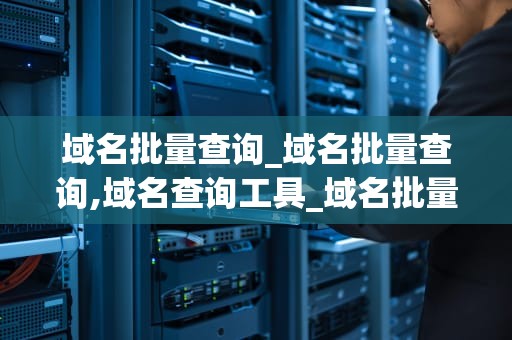 域名批量查询_域名批量查询,域名查询工具_域名批量查询的艺术