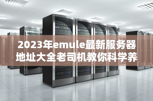 2023年emule最新服务器地址大全老司机教你科学养驴二十年
