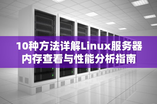 10种方法详解Linux服务器内存查看与性能分析指南