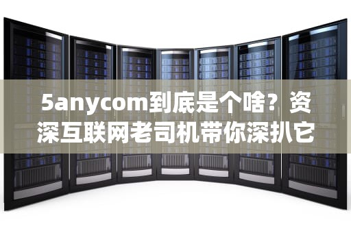 5anycom到底是个啥？资深互联网老司机带你深扒它的前世今生与隐藏玩法
