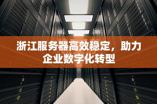 浙江服务器高效稳定，助力企业数字化转型