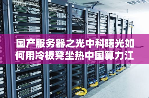 国产服务器之光中科曙光如何用冷板凳坐热中国算力江湖？