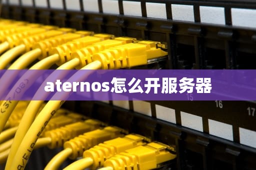 aternos怎么开服务器