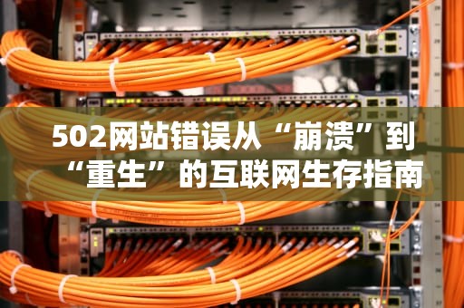 502网站错误从“崩溃”到“重生”的互联网生存指南