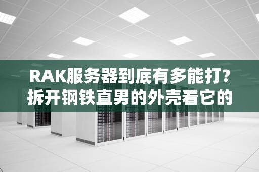 RAK服务器到底有多能打？拆开钢铁直男的外壳看它的十八般武艺