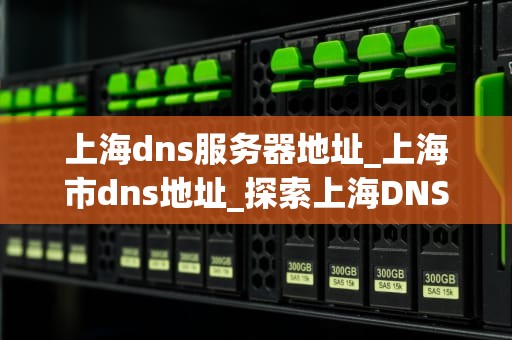 上海dns服务器地址_上海市dns地址_探索上海DNS服务器地址及其重要性