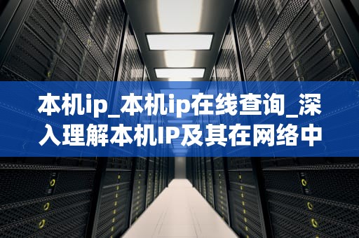 本机ip_本机ip在线查询_深入理解本机IP及其在网络中的重要性