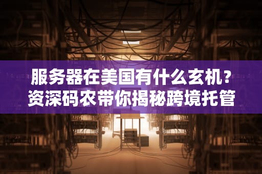 服务器在美国有什么玄机？资深码农带你揭秘跨境托管的那些事儿