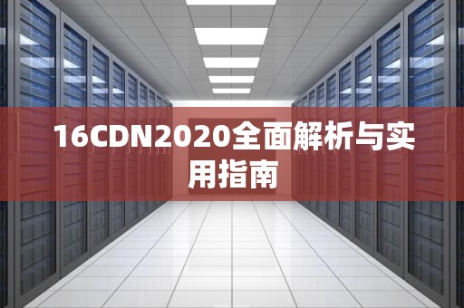 16CDN2020全面解析与实用指南