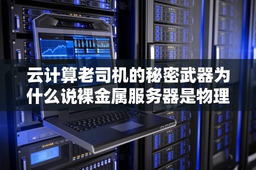 云计算老司机的秘密武器为什么说裸金属服务器是物理课代表？