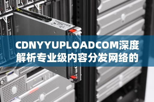 CDNYYUPLOADCOM深度解析专业级内容分发网络的应用实践与效能优化指南