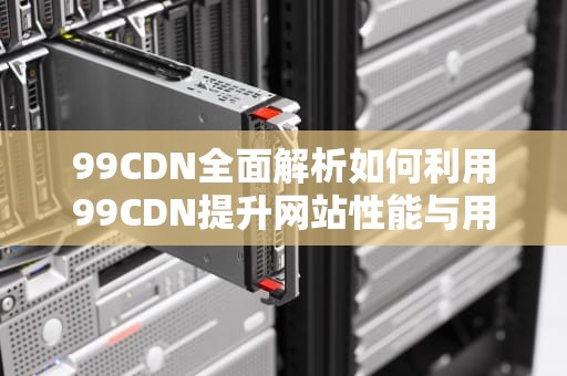 99CDN全面解析如何利用99CDN提升网站性能与用户体验