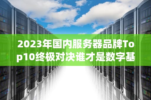 2023年国内服务器品牌Top10终极对决谁才是数字基建的真·扛把子？