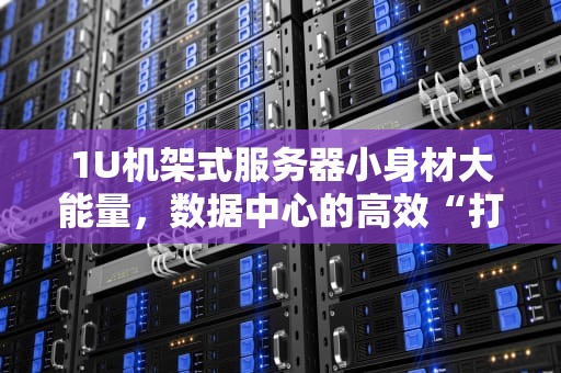 1U机架式服务器小身材大能量，数据中心的高效“打工人”