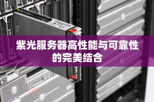紫光服务器高性能与可靠性的完美结合