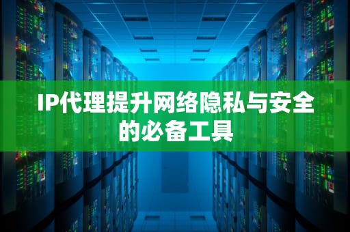 IP代理提升网络隐私与安全的必备工具