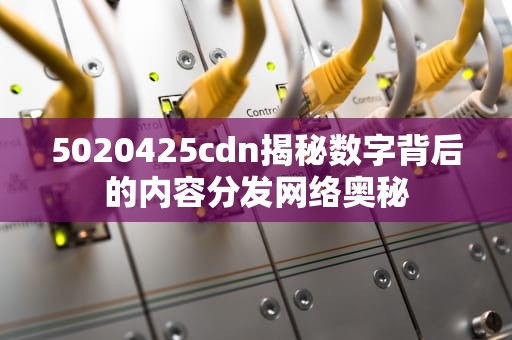 5020425cdn揭秘数字背后的内容分发网络奥秘