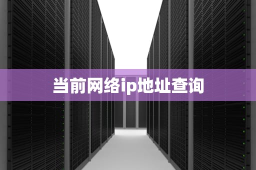 当前网络ip地址查询