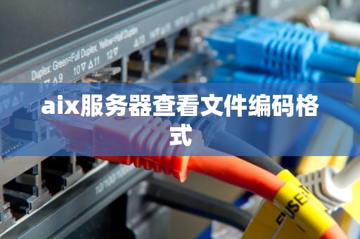 aix服务器查看文件编码格式