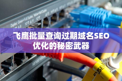 飞鹰批量查询过期域名SEO优化的秘密武器