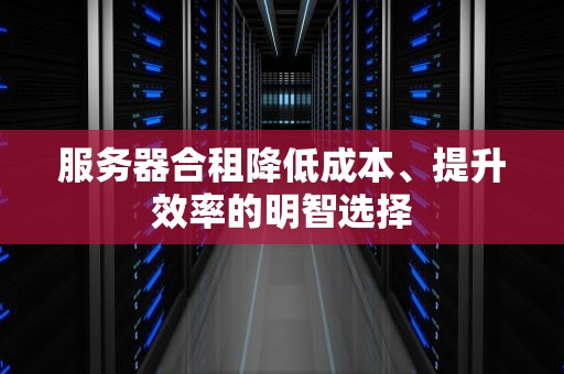 服务器合租降低成本、提升效率的明智选择