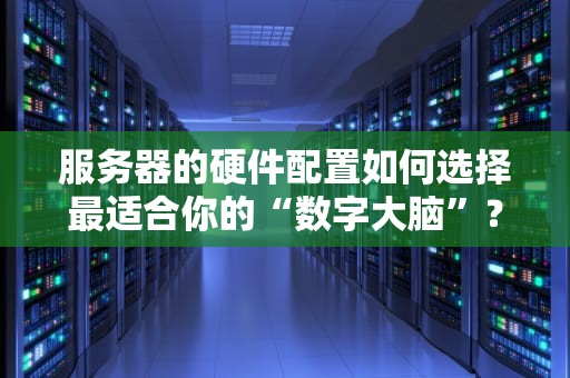 服务器的硬件配置如何选择最适合你的“数字大脑”？