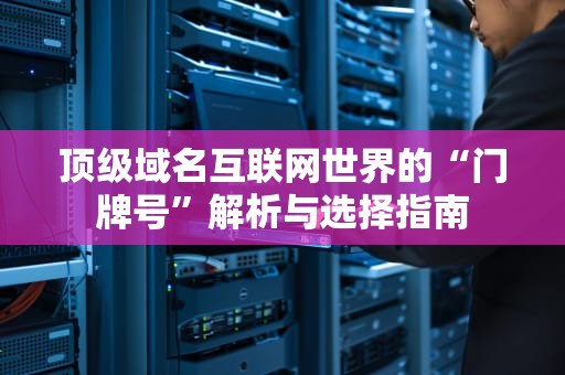 顶级域名互联网世界的“门牌号”解析与选择指南