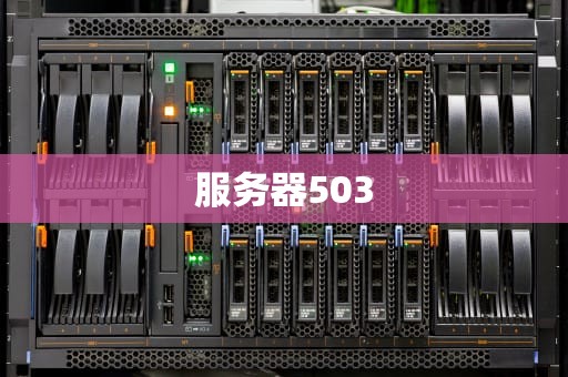 服务器503
