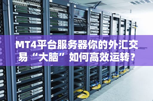 MT4平台服务器你的外汇交易“大脑”如何高效运转？