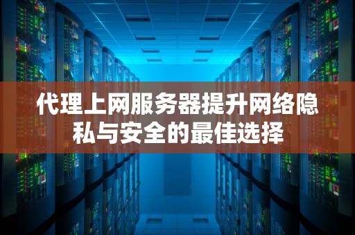 代理上网服务器提升网络隐私与安全的最佳选择