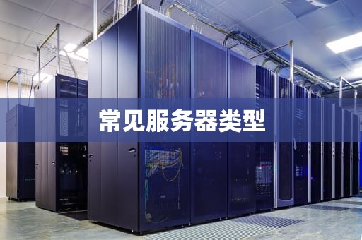 常见服务器类型
